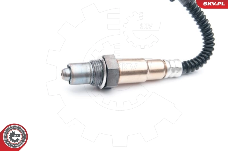 Oxygen Sensor